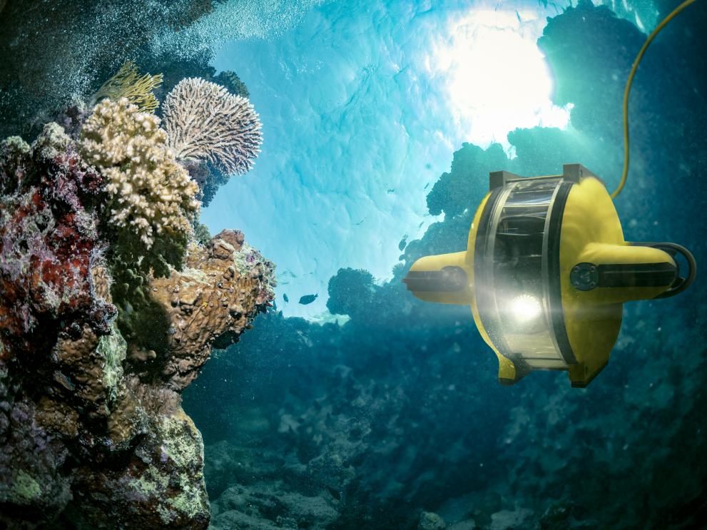 [Underwater robot]