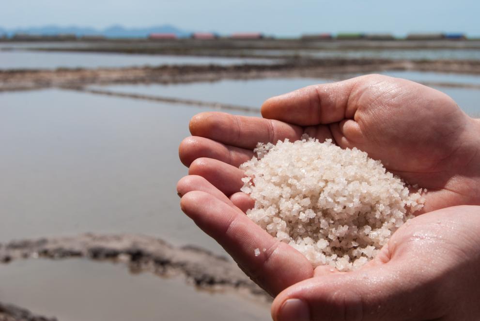 Image of a handful of sea salt. In the background are salt fields.