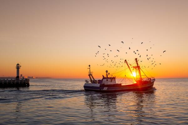 [Fishing boat at sunset]